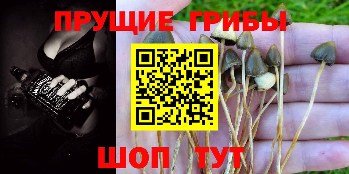 Псилоцибиновые грибы MAGIC MUSHROOMS Кондопога