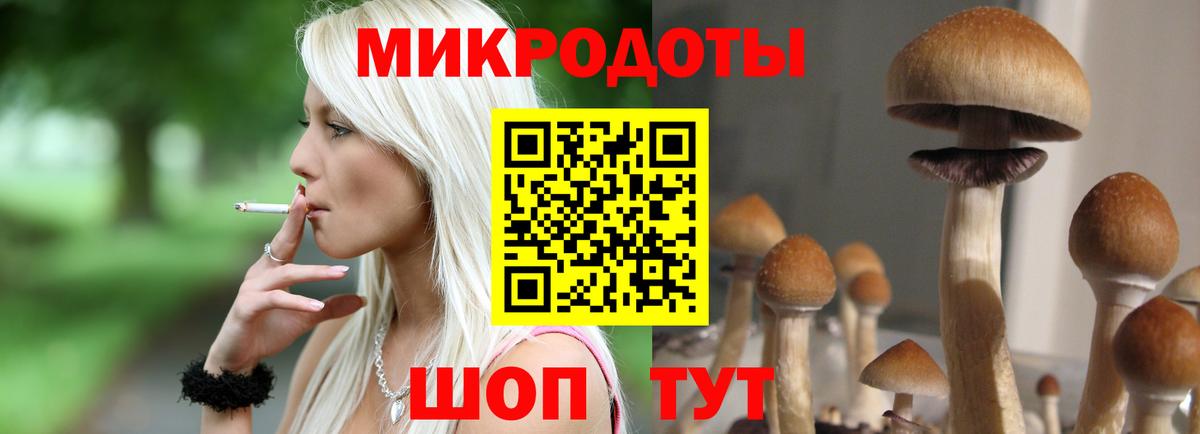 Галлюциногенные грибы прущие грибы  Вход с VPN  Псилоцибиновые грибы Psilocybine cubensis  Кондопога 